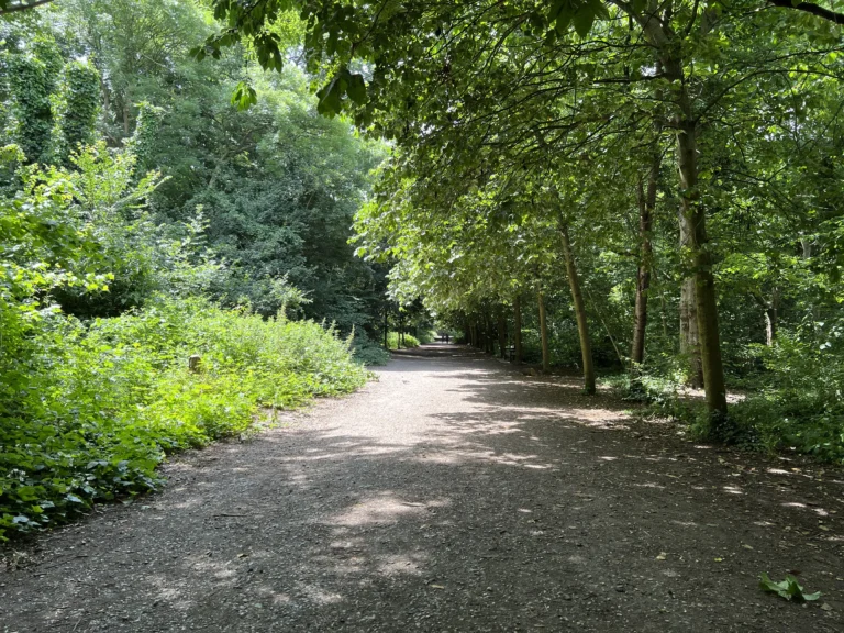 荷蘭公園 叢林步道