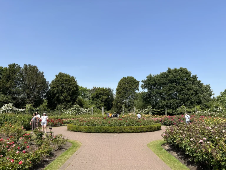 攝政公園 瑪麗女王花園