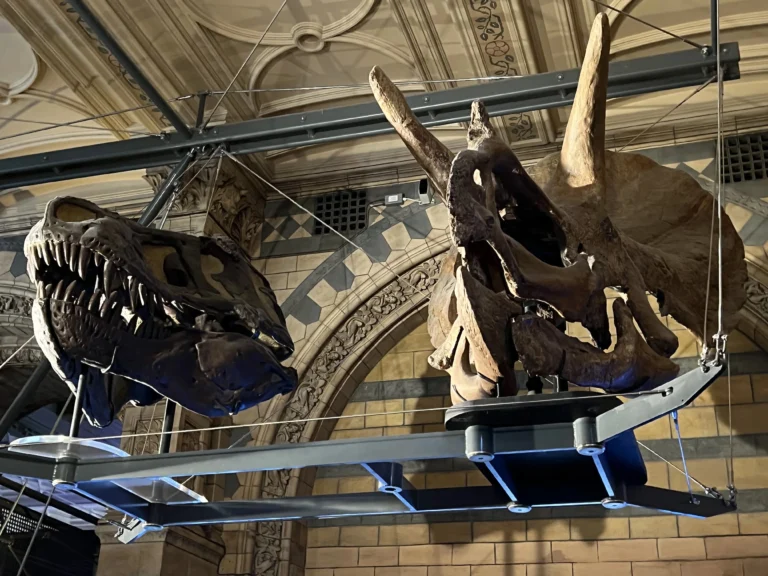 倫敦自然歷史博物館 恐龍區