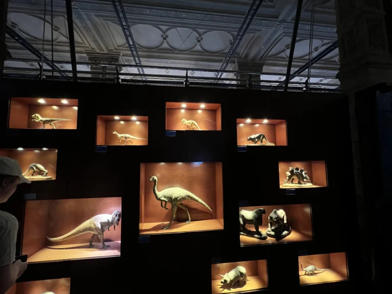 倫敦自然歷史博物館 恐龍展視窗