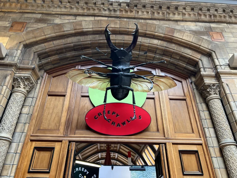 倫敦自然歷史博物館 昆蟲館