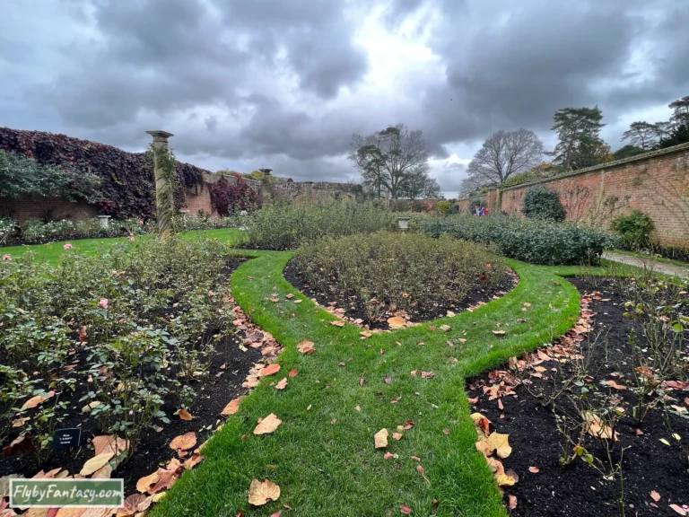 玫瑰花園 Hever Castle