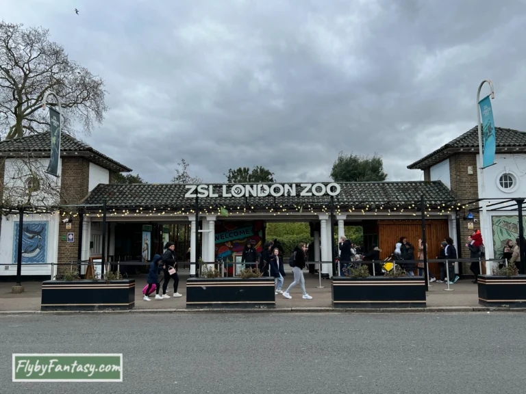 倫敦動物園London Zoo