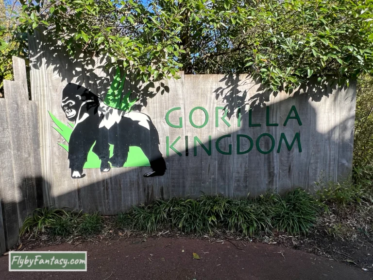 動物園 倫敦 大猩猩王國