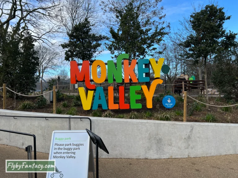 London Zoo Monkey Valley