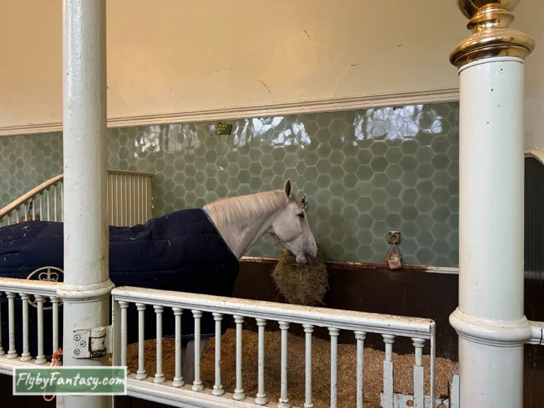 倫敦皇家馬廄 The Royal Mews White Horse