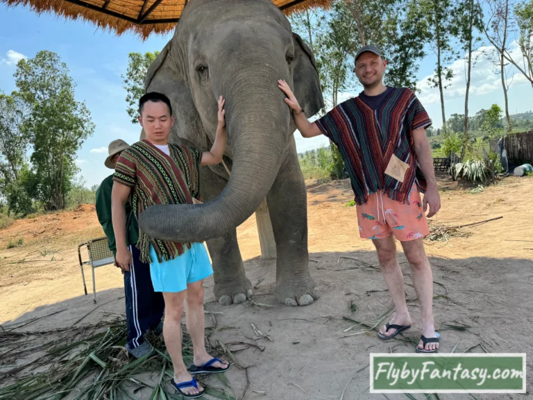 芭達雅大象叢林保護區 餵食大象