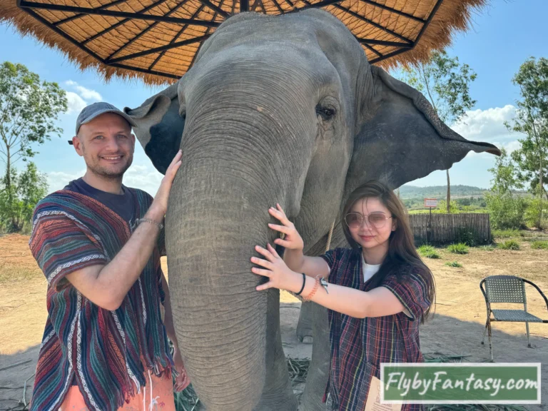 Pattaya Elephant Jungle Sanctuary - touch the elephant