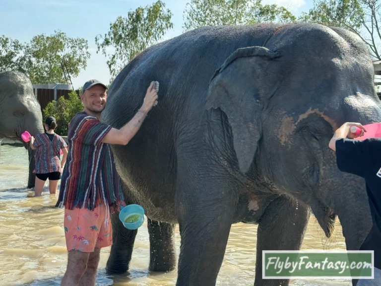 Pattaya Elephant Jungle Sanctuary - shower time