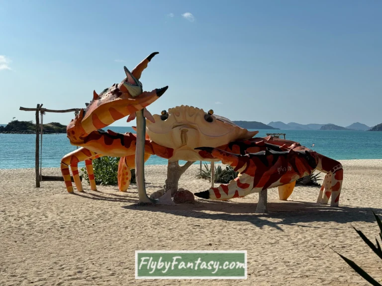沙邁珊島海灘 大螃蟹