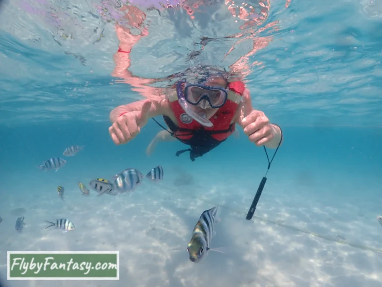 Nemo Island Snorkelling with fish